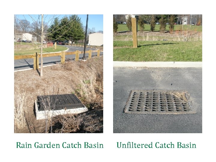 Rain Garden Catch Basin Unfiltered Catch Basin 