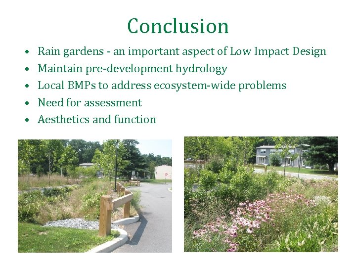 Conclusion • • • Rain gardens - an important aspect of Low Impact Design