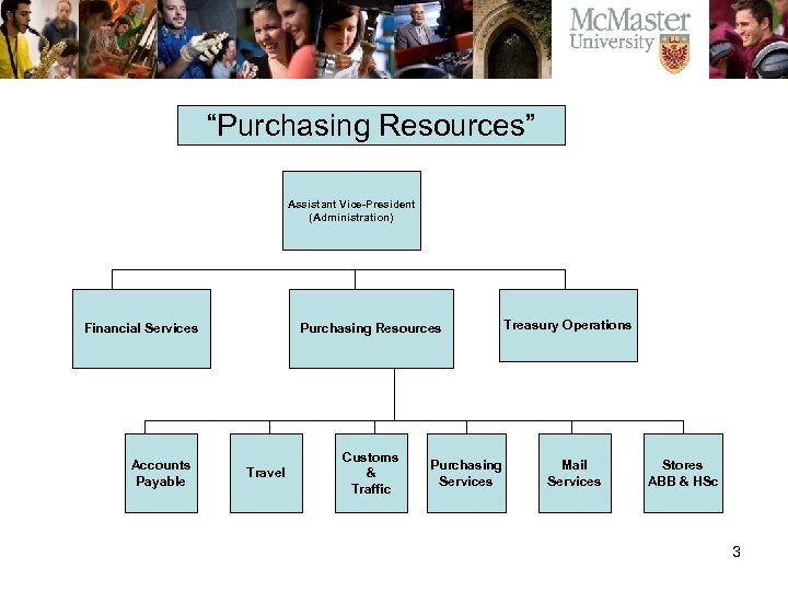 “Purchasing Resources” Assistant Vice-President (Administration) Financial Services Accounts Payable Purchasing Resources Travel Customs &