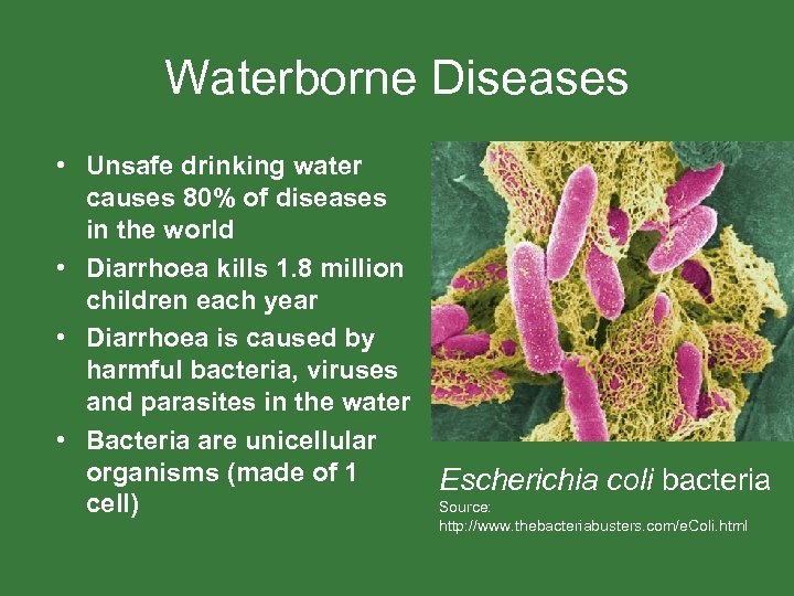 Waterborne Diseases • Unsafe drinking water causes 80% of diseases in the world •