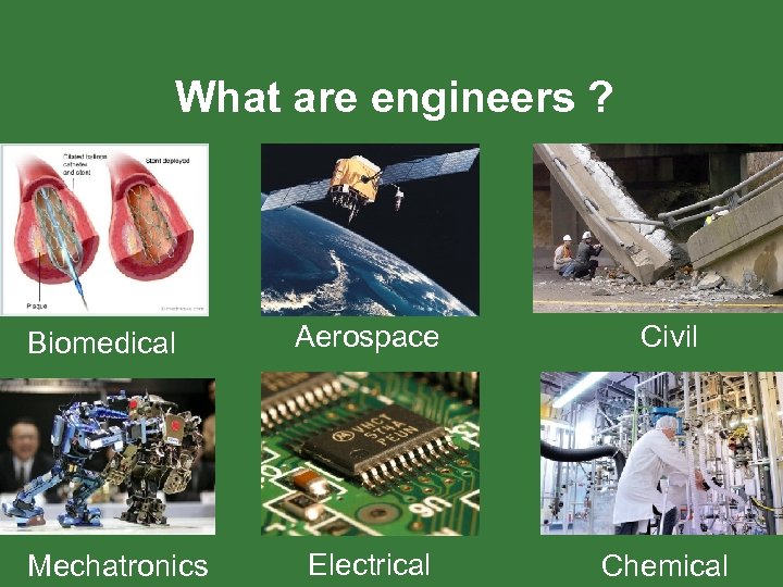 What are engineers ? Biomedical Mechatronics Aerospace Civil Electrical Chemical 