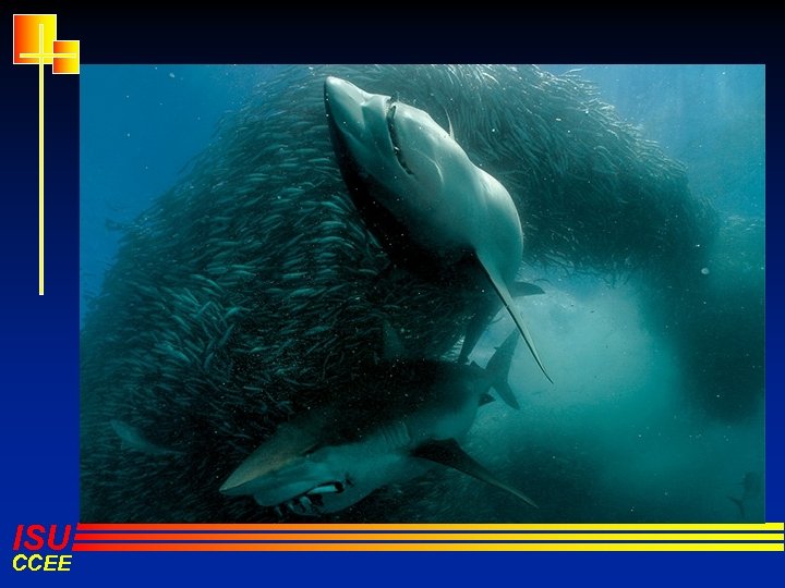 ISU CCEE 