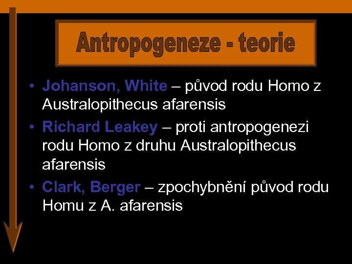  • Johanson, White – původ rodu Homo z Australopithecus afarensis • Richard Leakey