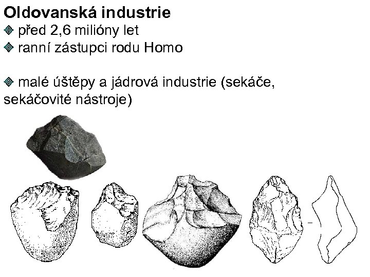 Oldovanská industrie před 2, 6 milióny let ranní zástupci rodu Homo malé úštěpy a