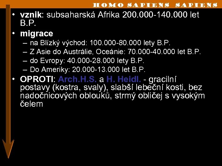 Homo sapiens • vznik: subsaharská Afrika 200. 000 -140. 000 let vznik B. P.