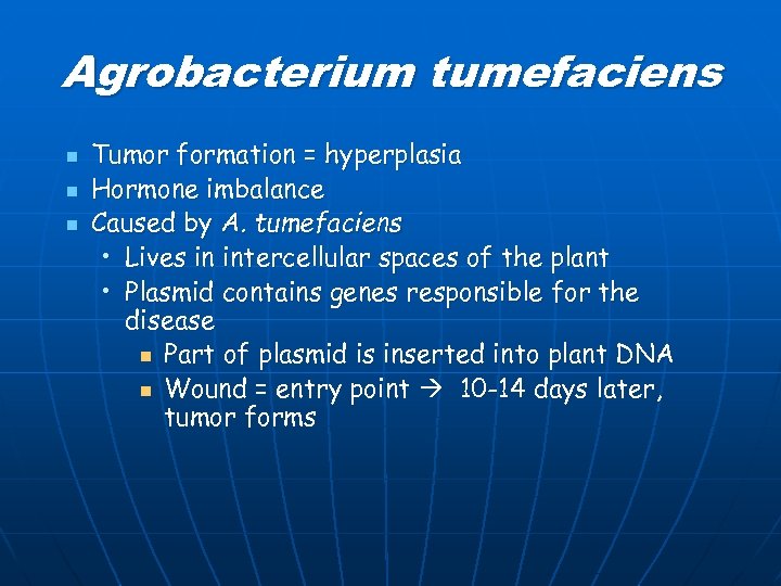 Agrobacterium tumefaciens n n n Tumor formation = hyperplasia Hormone imbalance Caused by A.