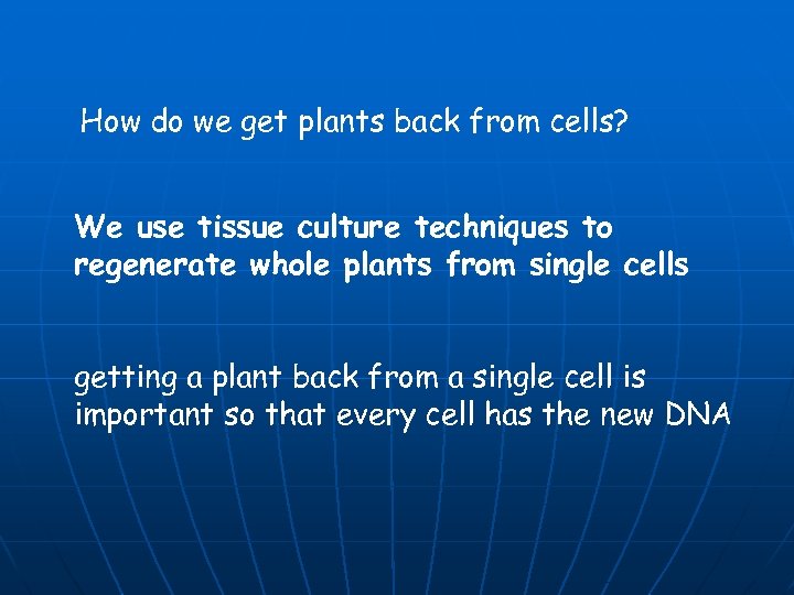 How do we get plants back from cells? We use tissue culture techniques to