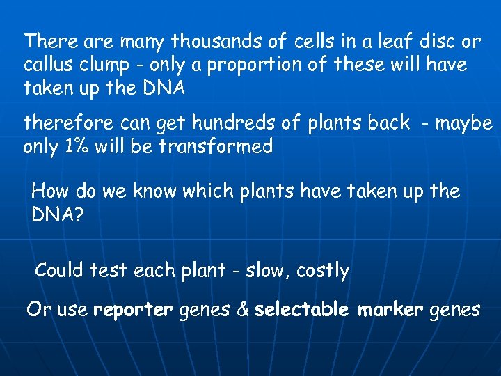 There are many thousands of cells in a leaf disc or callus clump -