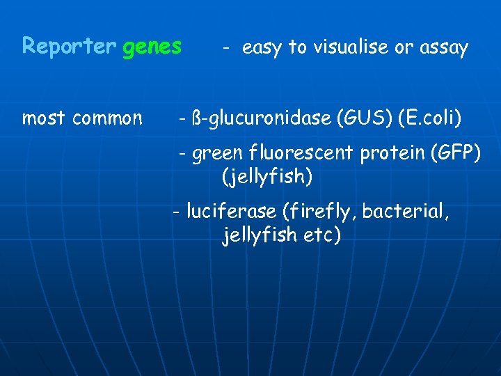 Reporter genes most common - easy to visualise or assay - ß-glucuronidase (GUS) (E.