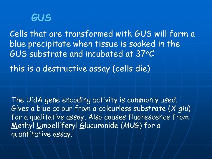 GUS Cells that are transformed with GUS will form a blue precipitate when tissue
