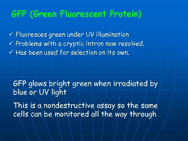 GFP (Green Fluorescent Protein) ü Fluoresces green under UV illumination ü Problems with a