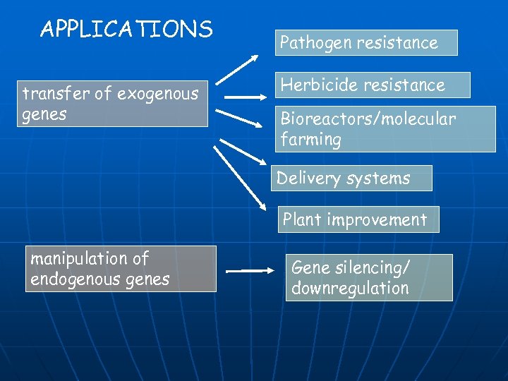 APPLICATIONS transfer of exogenous genes Pathogen resistance Herbicide resistance Bioreactors/molecular farming Delivery systems Plant