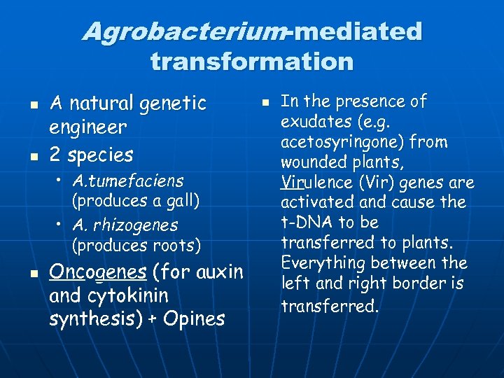 Agrobacterium-mediated transformation n n A natural genetic engineer 2 species • A. tumefaciens (produces