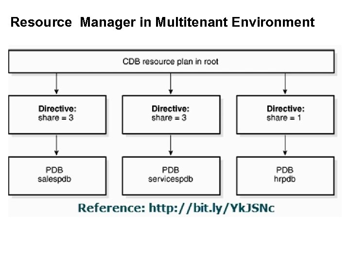 Resource Manager in Multitenant Environment 