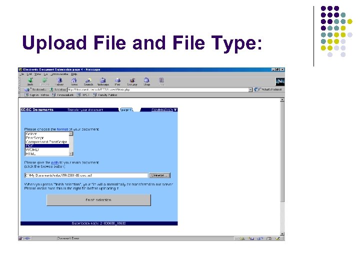 Upload File and File Type: 
