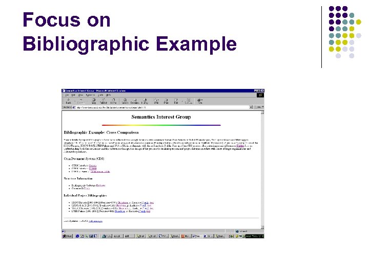Focus on Bibliographic Example 