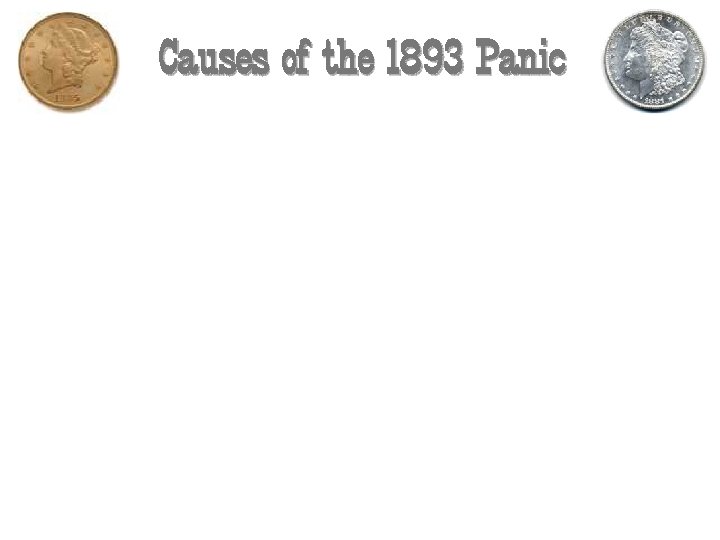 Causes of the 1893 Panic 