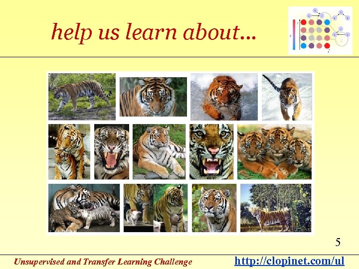 help us learn about… 5 Unsupervised and Transfer Learning Challenge http: //clopinet. com/ul 