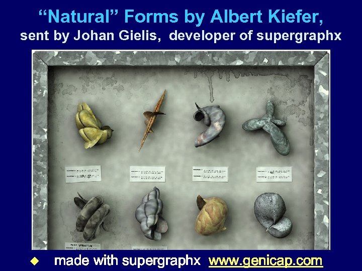 “Natural” Forms by Albert Kiefer, sent by Johan Gielis, developer of supergraphx u made