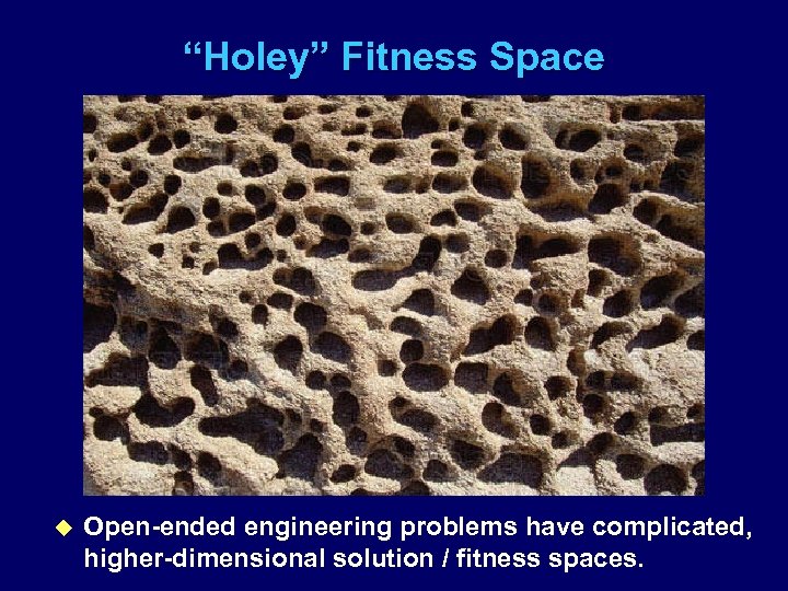 “Holey” Fitness Space u Open-ended engineering problems have complicated, higher-dimensional solution / fitness spaces.