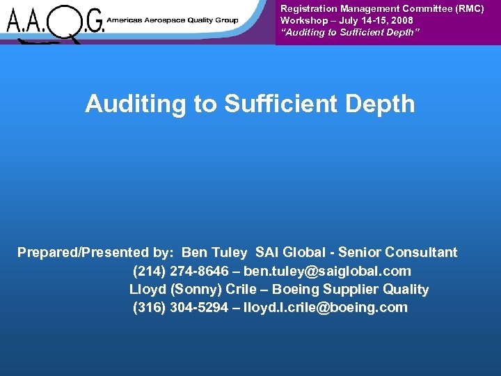 Registration Management Committee (RMC) Workshop – July 14 -15, 2008 “Auditing to Sufficient Depth”