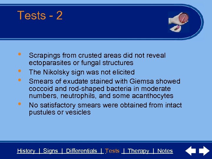 Tests - 2 • • Scrapings from crusted areas did not reveal ectoparasites or