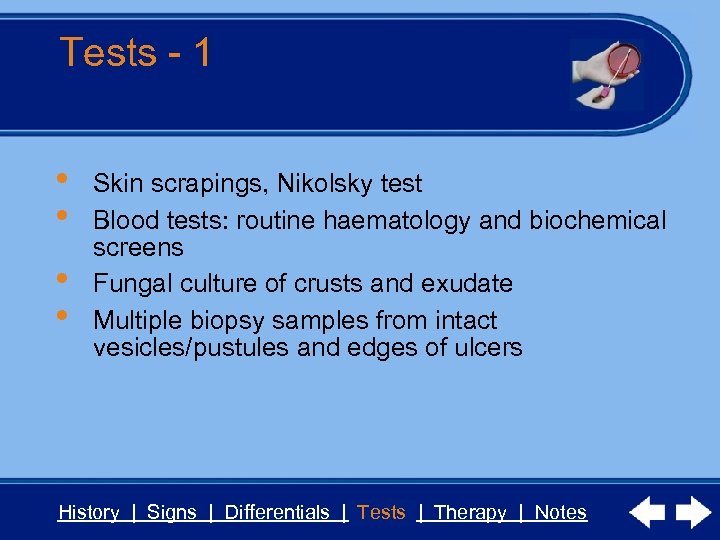 Tests - 1 • • Skin scrapings, Nikolsky test Blood tests: routine haematology and