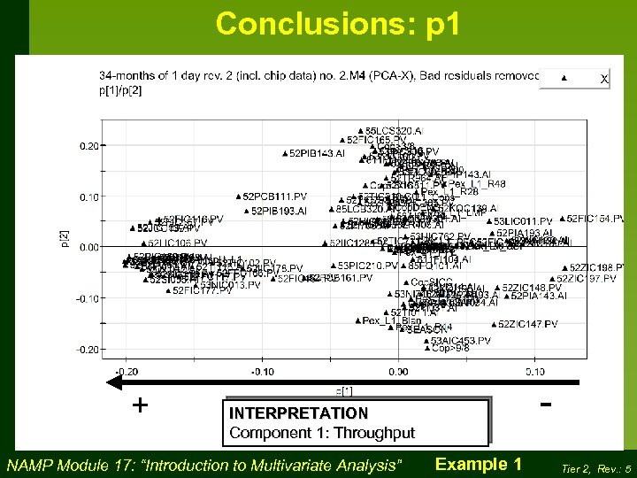 Conclusions: p 1 + - INTERPRETATION Component 1: Throughput NAMP Module 17: “Introduction to