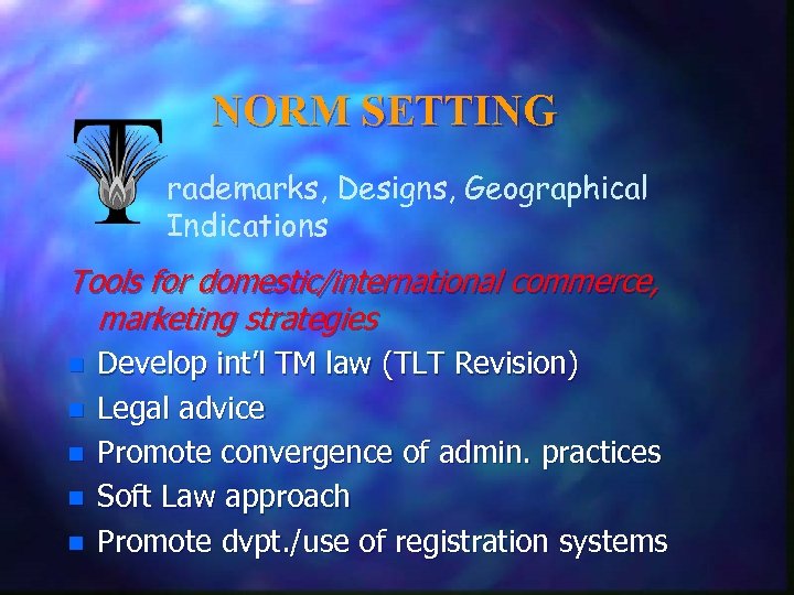 NORM SETTING rademarks, Designs, Geographical Indications Tools for domestic/international commerce, marketing strategies n n