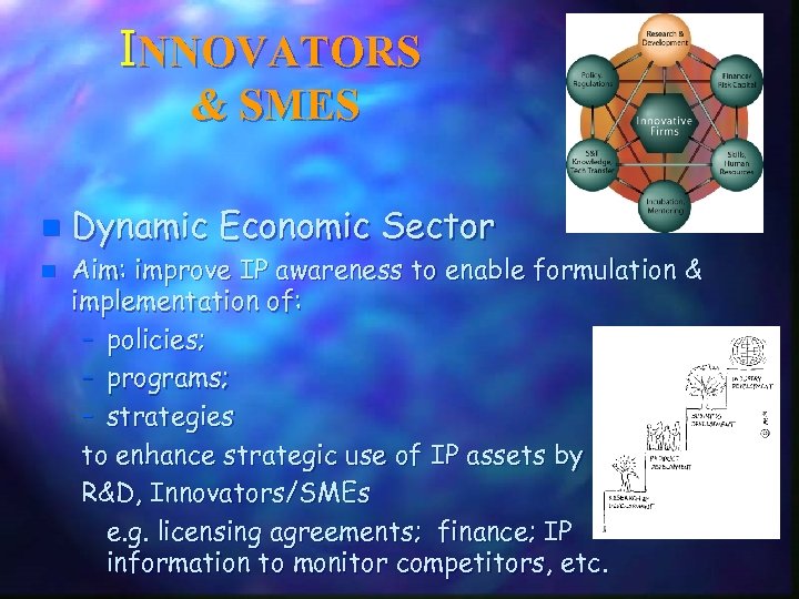 INNOVATORS & SMES n n Dynamic Economic Sector Aim: improve IP awareness to enable