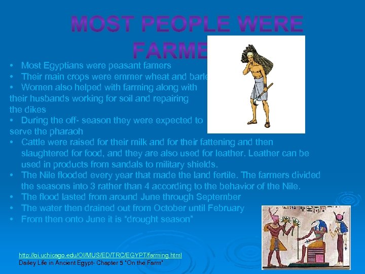  • Most Egyptians were peasant famers • Their main crops were emmer wheat