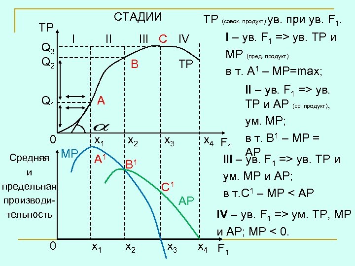 TP Q 3 Q 2 СТАДИИ I II TP (совок. продукт) ув. при ув.