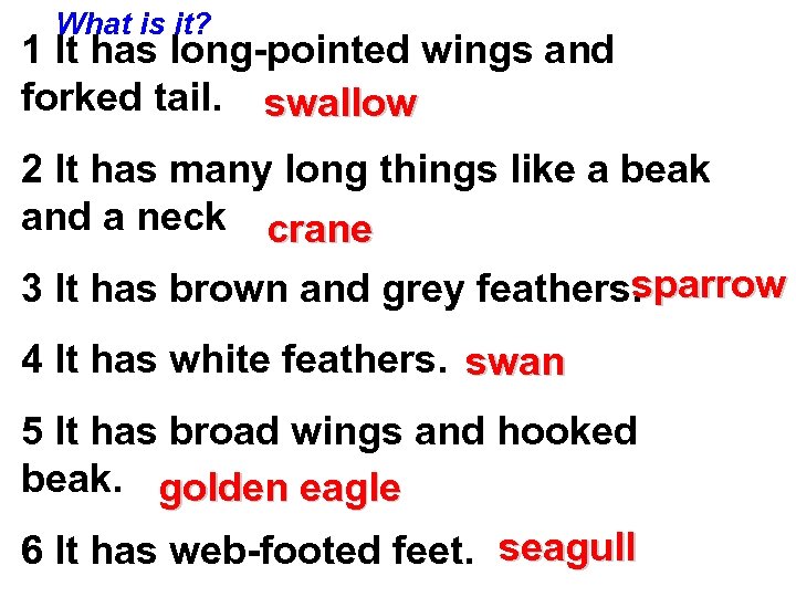 What is it? 1 It has long-pointed wings and forked tail. swallow 2 It