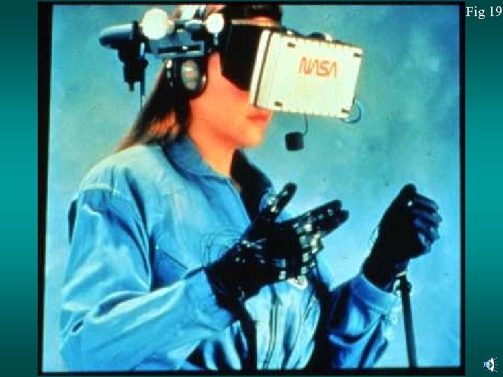 Fig 19 