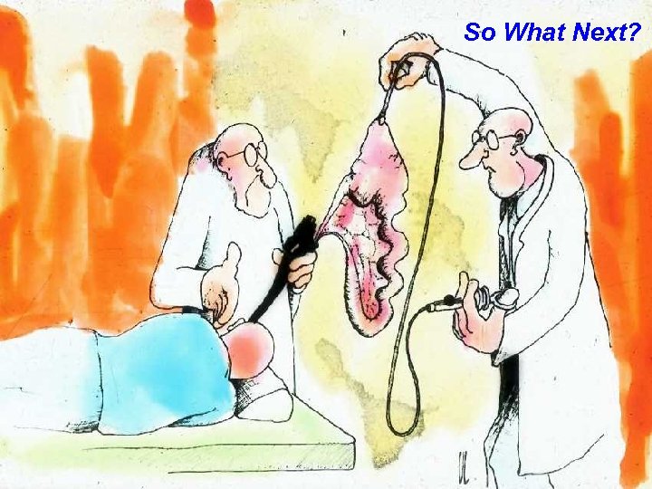 Fig 28 So What Next? 