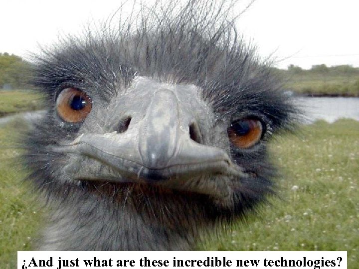 Fig 37 ¿And just what are these incredible new technologies? 