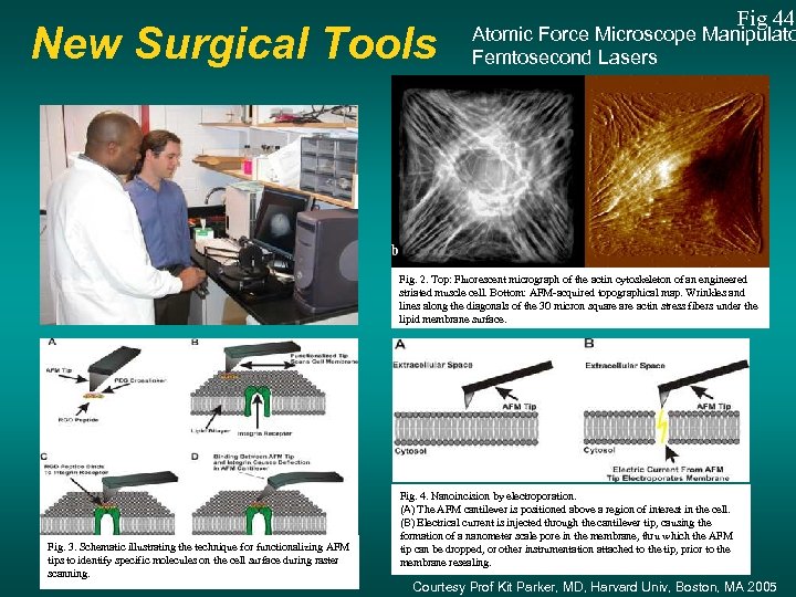 New Surgical Tools Fig 44 Atomic Force Microscope Manipulato Femtosecond Lasers Fig. 2. Top: