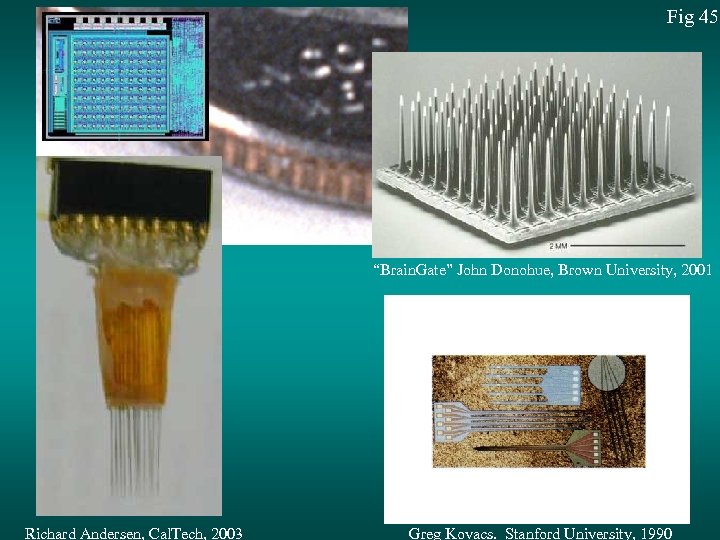 Fig 45 “Brain. Gate” John Donohue, Brown University, 2001 Richard Andersen, Cal. Tech, 2003