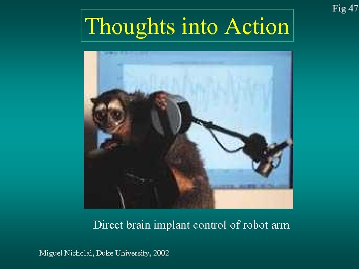 Thoughts into Action Direct brain implant control of robot arm Miguel Nicholai, Duke University,