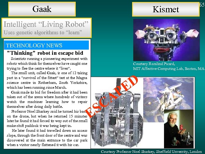 Gaak Kismet Fig 65 Intelligent “Living Robot” Uses genetic algorithms to “learn” TECHNOLOGY NEWS