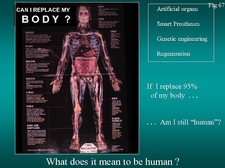 CAN I REPLACE MY BODY ? Artificial organs Fig 67 Smart Prostheses Genetic engineering