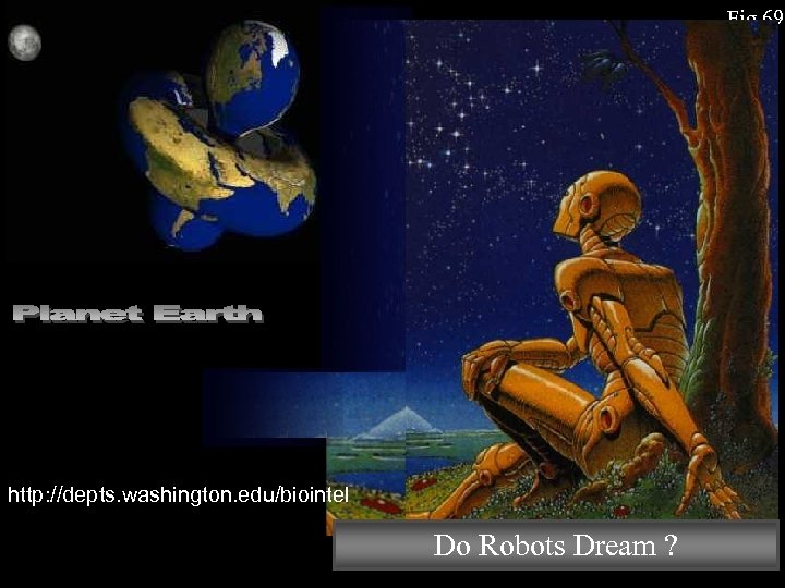 Fig 69 http: //depts. washington. edu/biointel Do Robots Dream ? 