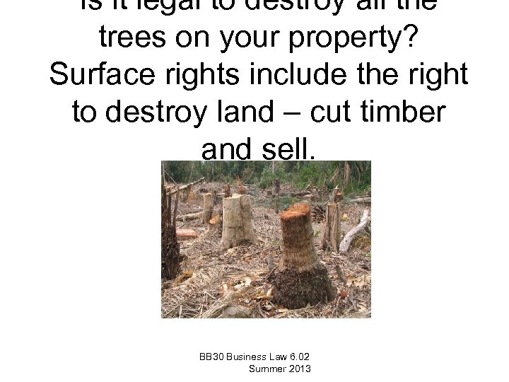Is it legal to destroy all the trees on your property? Surface rights include