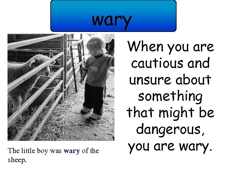 wary The little boy was wary of the sheep. When you are cautious and