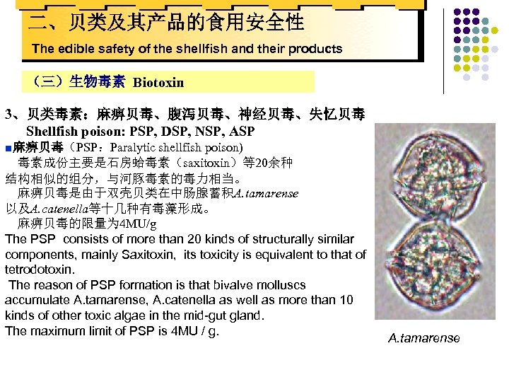 二、贝类及其产品的食用安全性 The edible safety of the shellfish and their products （三）生物毒素 Biotoxin 3、贝类毒素：麻痹贝毒、腹泻贝毒、神经贝毒、失忆贝毒 Shellfish