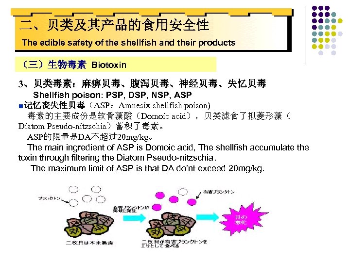 二、贝类及其产品的食用安全性 The edible safety of the shellfish and their products （三）生物毒素 Biotoxin 3、贝类毒素：麻痹贝毒、腹泻贝毒、神经贝毒、失忆贝毒 Shellfish