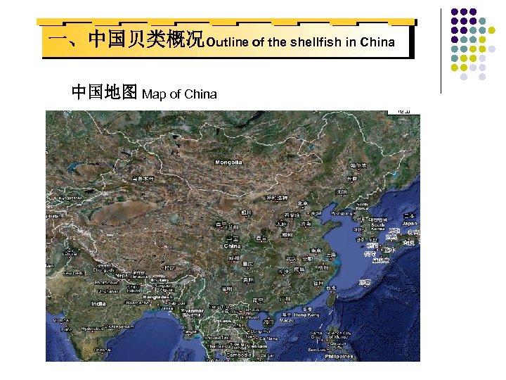 一、中国贝类概况Outline of the shellfish in China 中国地图 Map of China 