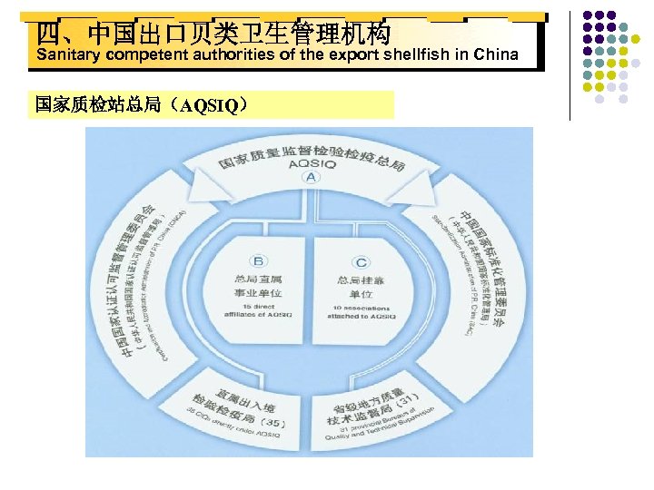 四、中国出口贝类卫生管理机构 Sanitary competent authorities of the export shellfish in China 国家质检站总局（AQSIQ） 