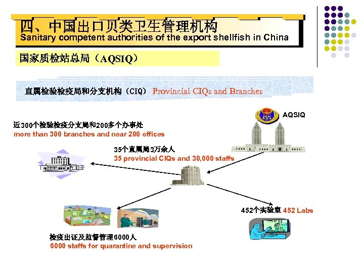 四、中国出口贝类卫生管理机构 Sanitary competent authorities of the export shellfish in China 国家质检站总局（AQSIQ） 直属检验检疫局和分支机构（CIQ） Provincial CIQs