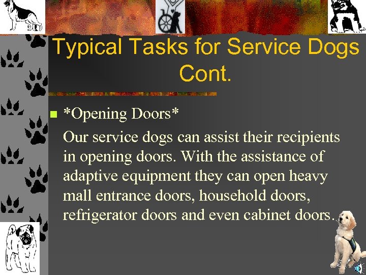 Typical Tasks for Service Dogs Cont. n *Opening Doors* Our service dogs can assist